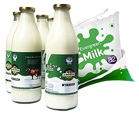 evergreen-milk
